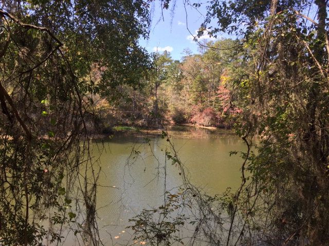 431 Us Hwy 431, Eufaula, AL 36027